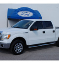 ford f 150 2010 white xlt gasoline 8 cylinders 2 wheel drive automatic with overdrive 77531