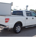 ford f 150 2010 white xlt gasoline 8 cylinders 2 wheel drive automatic with overdrive 77531