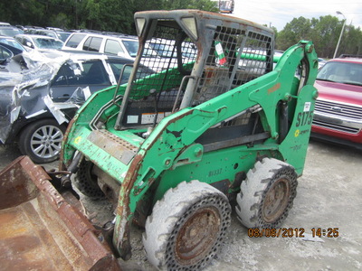 bobcat