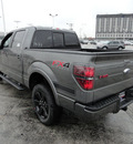 ford f 150 2012 gray fx 4 4x4 gasoline 6 cylinders 4 wheel drive automatic with overdrive 60546