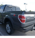 ford f 150 2010 dk  gray fx4 8 cylinders automatic 78729
