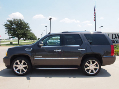 cadillac escalade 2010 gray suv luxury flex fuel 8 cylinders all whee drive automatic 76018