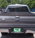 ford f 150 2010 dk  gray xlt gasoline 8 cylinders 2 wheel drive automatic 77531