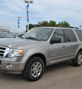 ford expedition 2008 lt  gray suv xlt gasoline 8 cylinders 2 wheel drive automatic with overdrive 78523
