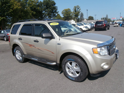 ford escape 2011 gold suv xlt flex fuel 6 cylinders all whee drive automatic 13502