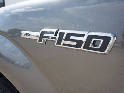 ford f 150 2012 gray stx flex fuel 8 cylinders 2 wheel drive automatic 75235