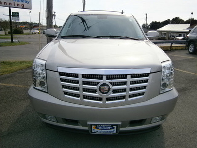 cadillac escalade 2007 gray suv gasoline 8 cylinders all whee drive automatic 13502