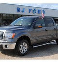 ford f 150 2012 gray xlt flex fuel 8 cylinders 2 wheel drive automatic with overdrive 77575