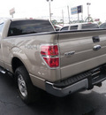 ford f 150 2010 gold xlt flex fuel 8 cylinders 4 wheel drive automatic with overdrive 32401