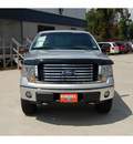 ford f 150 2010 silver xlt gasoline 8 cylinders 4 wheel drive automatic with overdrive 77706