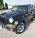 jeep liberty 2004 black suv sport gasoline 6 cylinders 4 wheel drive 5 speed manual 81212