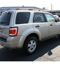 ford escape 2010 gold suv xlt gasoline 4 cylinders all whee drive automatic 98632