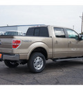 ford f 150 2013 beige lariat flex fuel 8 cylinders automatic 79045