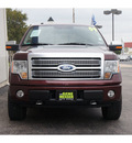 ford f 150 2009 red platinum flex fuel 8 cylinders 4 wheel drive automatic 79407