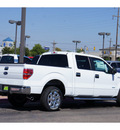 ford f 150 2013 white xlt 6 cylinders automatic 79407