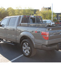 ford f 150 2010 dk  gray fx2 8 cylinders automatic 78501