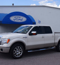 ford f 150 2009 white king ranch flex fuel 8 cylinders 2 wheel drive automatic 77531