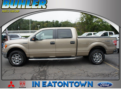 ford f 150 2011 pale adobe xlt flex fuel 8 cylinders 4 wheel drive automatic 07724