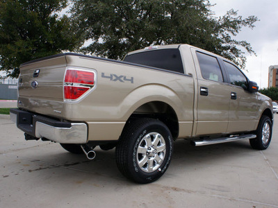 ford f 150 2013 beige xlt flex fuel 8 cylinders 4 wheel drive automatic 76011