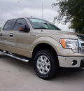 ford f 150 2013 beige xlt flex fuel 8 cylinders 4 wheel drive automatic 76011