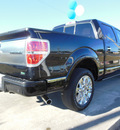 ford f 150 2010 black platinum flex fuel 8 cylinders 2 wheel drive automatic with overdrive 34474