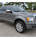 ford f 150 2010 dk  gray plat flex fuel 8 cylinders 4 wheel drive automatic 77539