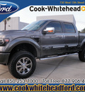 ford f 150 2013 gray fx4 flex fuel 8 cylinders 4 wheel drive automatic 32401