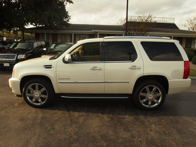 cadillac escalade 2010 white suv luxury flex fuel 8 cylinders rear wheel drive automatic 77074