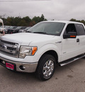 ford f 150 2013 oxford white xlt gasoline 6 cylinders 2 wheel drive automatic 77375