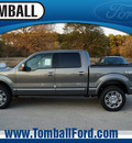 ford f 150 2013 sterling gray platinum flex fuel 8 cylinders 4 wheel drive automatic 77375