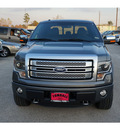 ford f 150 2013 sterling gray platinum flex fuel 8 cylinders 4 wheel drive automatic 77375