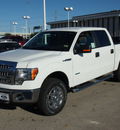 ford f 150 2013 white xlt texas edetion gasoline 6 cylinders 4 wheel drive automatic 77074