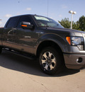 ford f 150 2012 gray fx2 flex fuel 8 cylinders 2 wheel drive automatic 76011