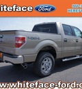 ford f 150 2012 beige xlt flex fuel 8 cylinders 4 wheel drive automatic 79045