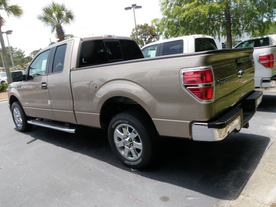 ford f 150 2013 beige xlt gasoline 6 cylinders 2 wheel drive automatic 32401