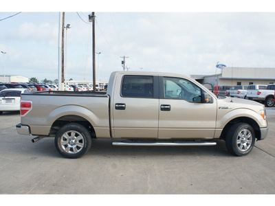 ford f 150 2011 beige xlt flex fuel 8 cylinders 2 wheel drive automatic 77539