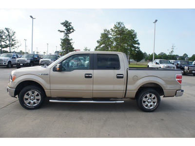 ford f 150 2011 beige xlt flex fuel 8 cylinders 2 wheel drive automatic 77539