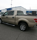 ford f 150 2012 gold gasoline 6 cylinders 2 wheel drive automatic 79925