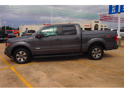 ford f 150 2011 gray fx2 6 cylinders automatic 77375
