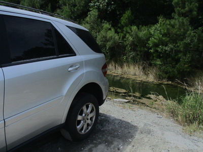 mercedes benz ml350