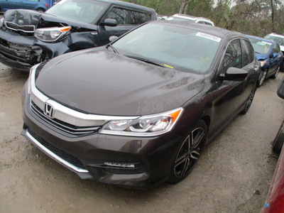 honda accord sport