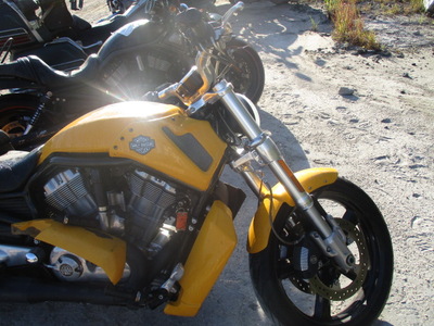 harley davidson vrscf vrod muscle