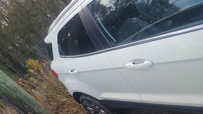 ford ecosport 2l